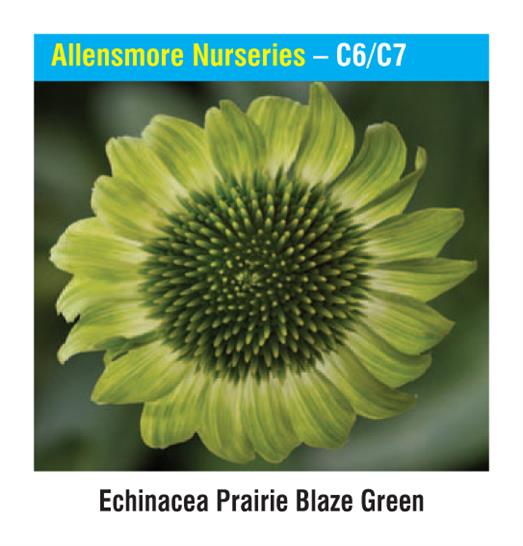 Allensmore Nurseries